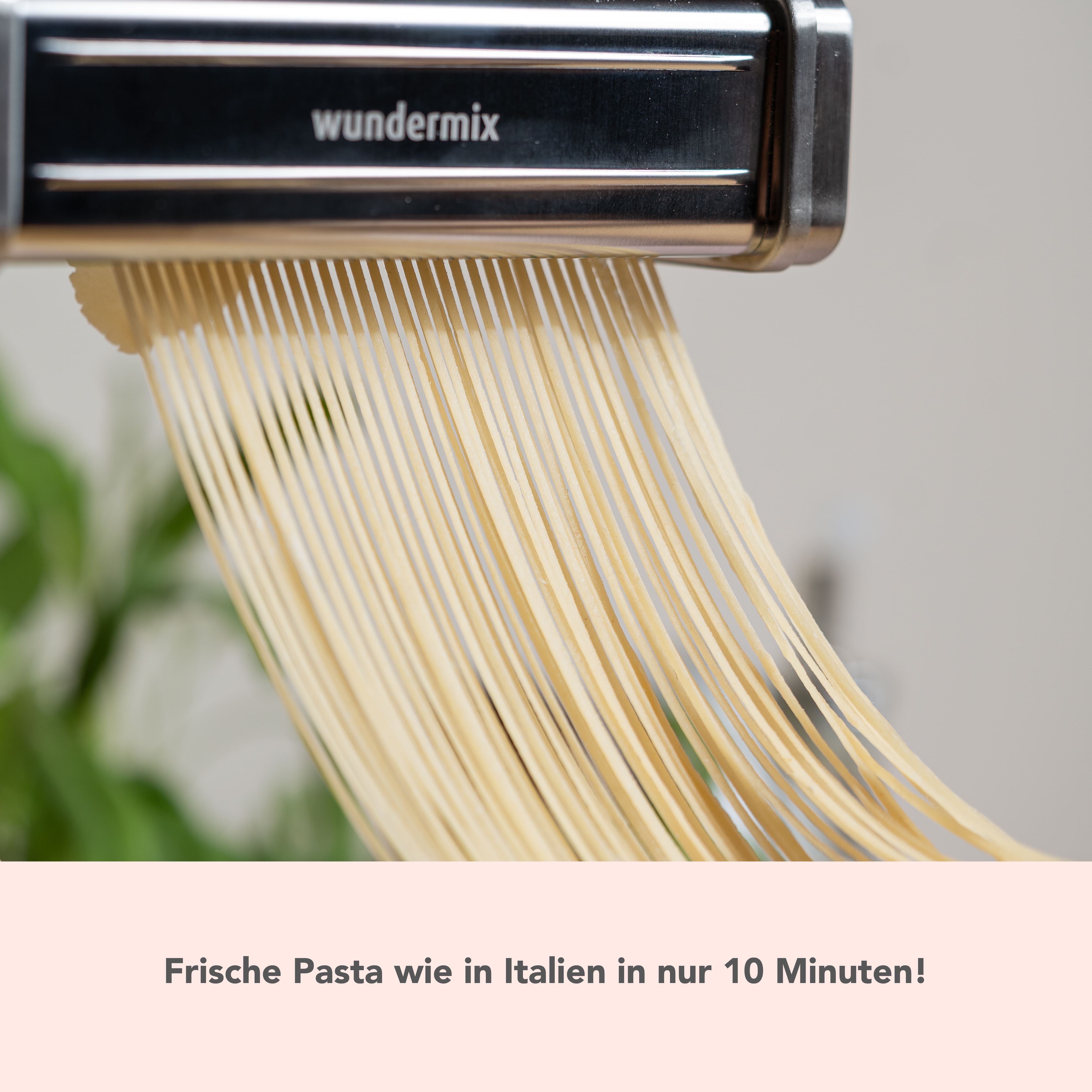 Pasta attachment (3-piece) for WunderCentix®